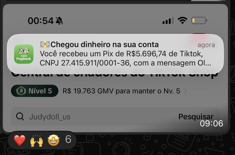 Notificação do PagBank informando o recebimento de um Pix de R$ 5.696,74 enviado pelo TikTok, sobre a tela da Central de criadores do TikTok Shop.